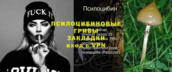 экстази Медвежьегорск