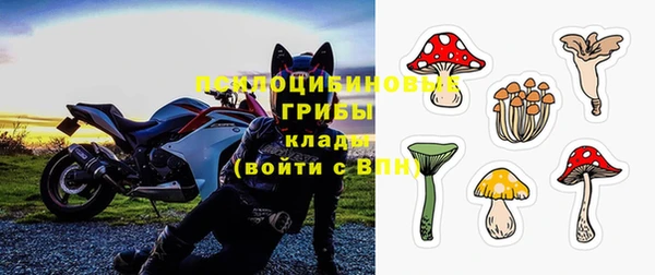 экстази Медвежьегорск