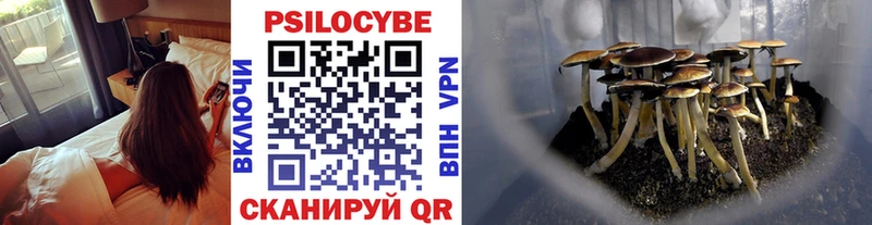сколько стоит  KRAKEN сайт  Галлюциногенные грибы GOLDEN TEACHER  Старая Купавна 